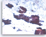 Click to enlarge Image 3