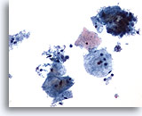 Click to enlarge Image 2