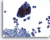 Click to enlarge Image 2
