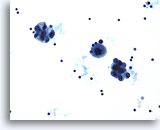 Click to enlarge Image 2