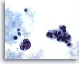 Click to enlarge Image 3