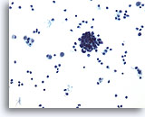 Click to enlarge Image 3