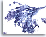 Click to enlarge Image 3