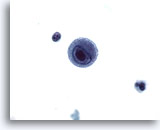 Click to enlarge Image 3