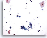 Click to enlarge Image 2