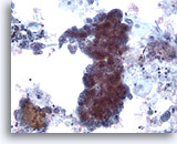 Click to enlarge Image 3