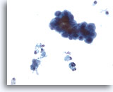 Click to enlarge Image 3