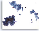 Click to enlarge Image 3