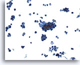 Click to enlarge Image 2