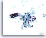 Click to enlarge Image 3
