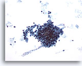 Click to enlarge Image 5
