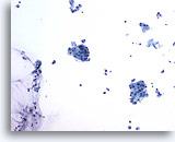 Click to enlarge Image 2