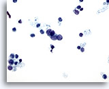 Click to enlarge Image 2