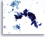 Click to enlarge Image 2