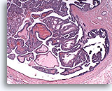 Click to enlarge Image 5