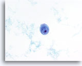 Click to enlarge Image 2